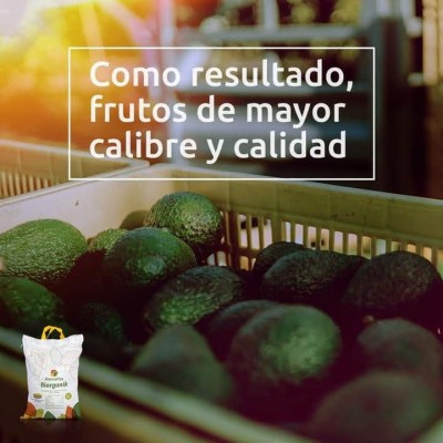 Mejores Frutos.