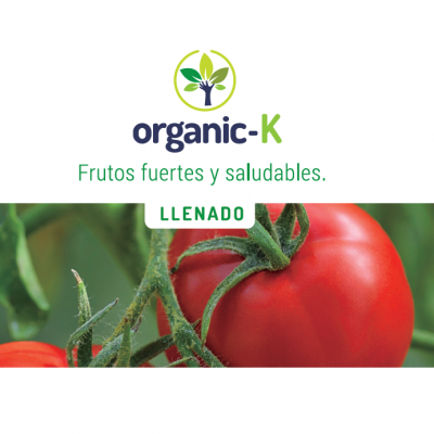 Organic-K