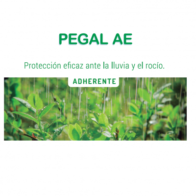 Pegal AE